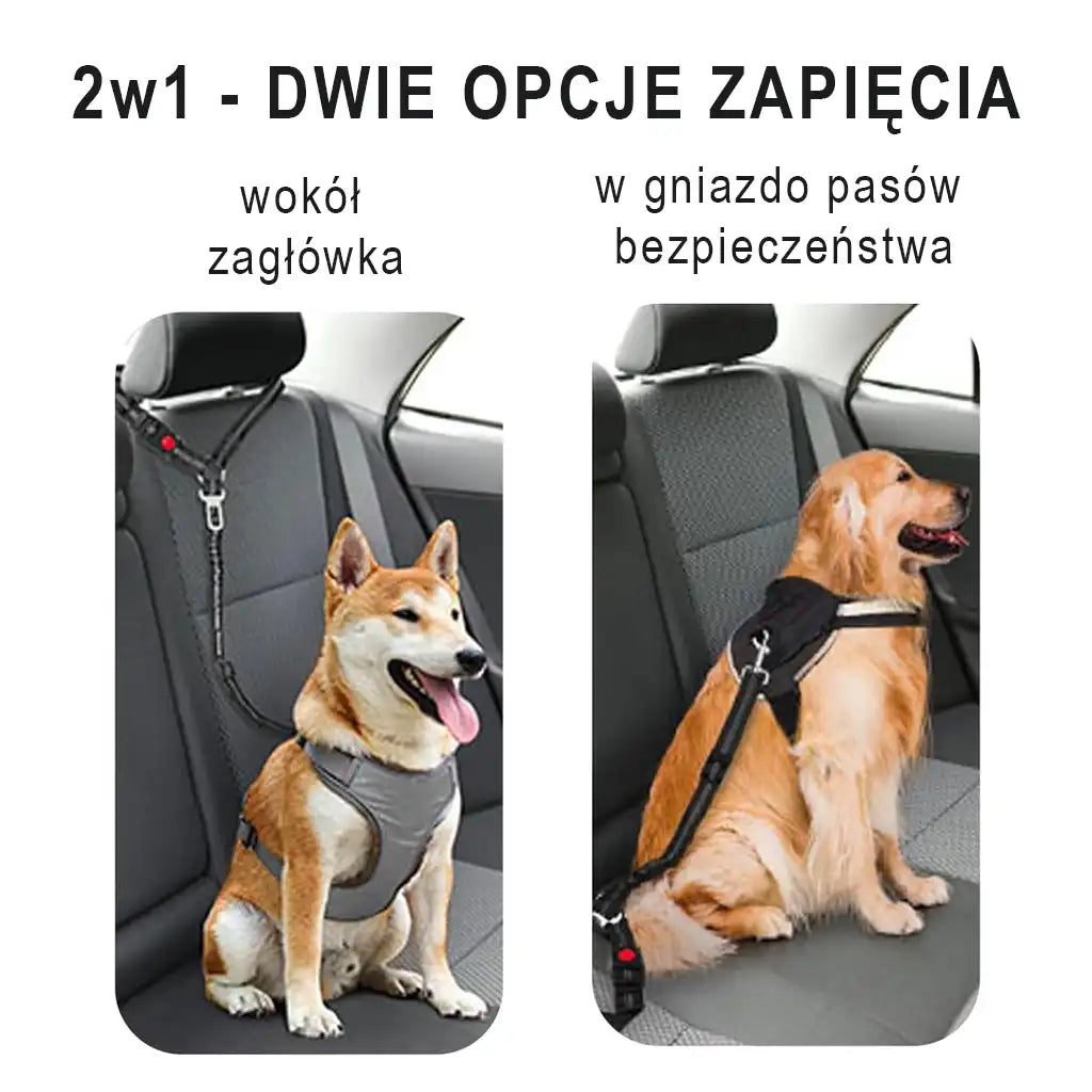 Pas bezpieczeństwa dla psa - 2w1